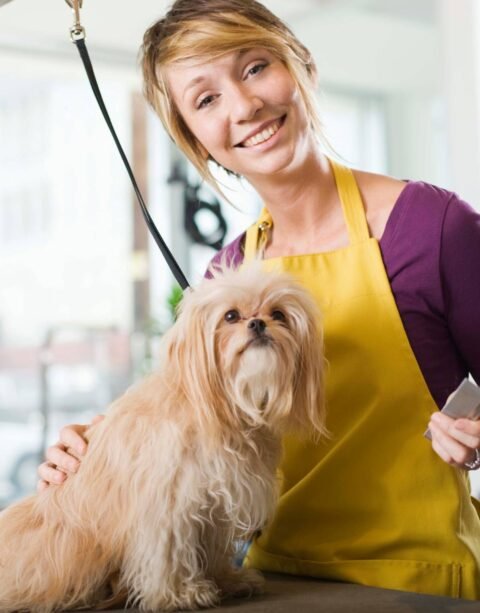 post1h2 (1) post1h2 (1)