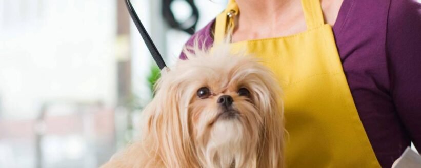 post1h2 (1) post1h2 (1)