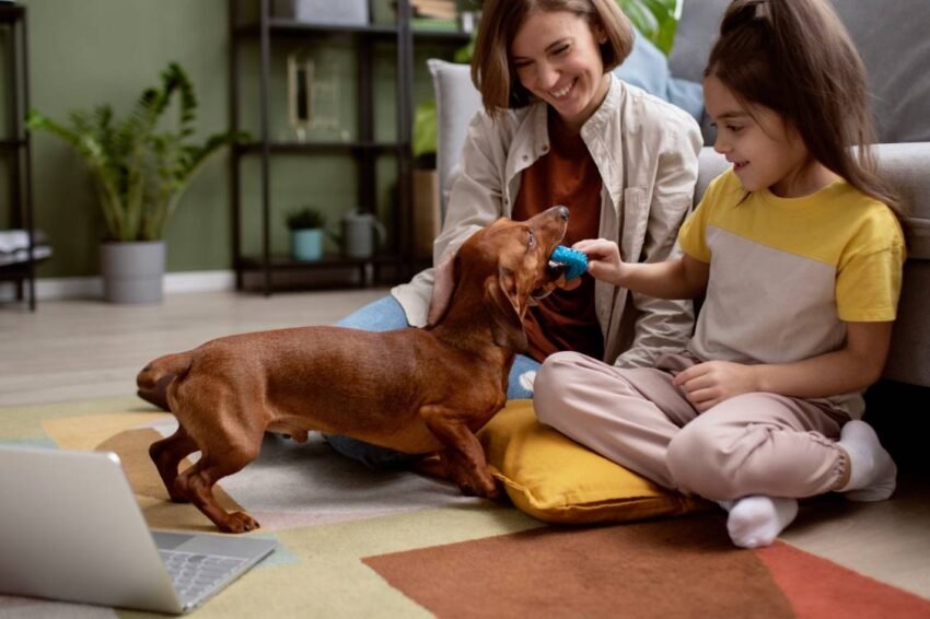 close-up-beautiful-dachshund-spending-time-with-family-min